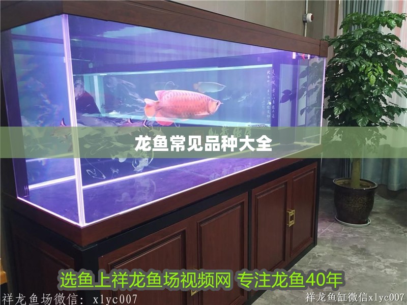 龍魚常見品種大全