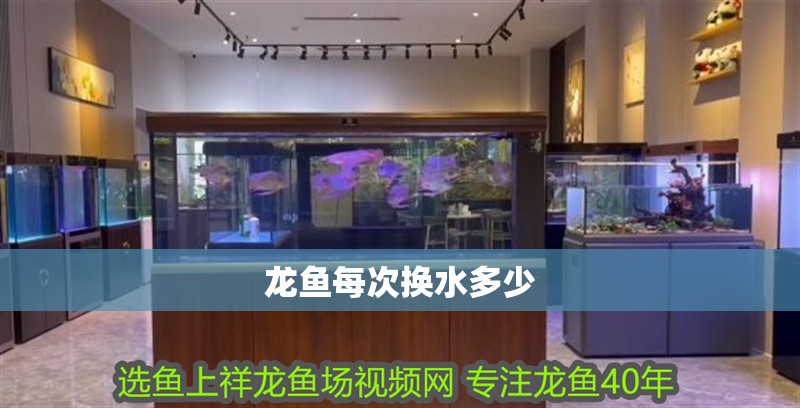 龍魚每次換水多少