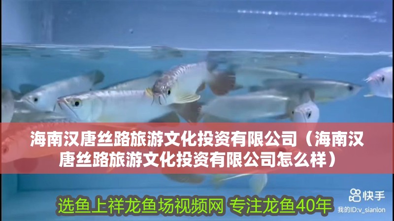 海南漢唐絲路旅游文化投資有限公司(海南漢唐絲路旅游文化投資有限公司怎么樣) 全國水族館企業名錄 第2張 海南漢唐絲路旅游文化投資有限公司(海南漢唐絲路旅游文化投資有限公司怎么樣) 海南漢唐絲路旅游文化投資有限公司(海南漢唐絲路旅游文化投資有限公司怎么樣) 全國水族館企業名錄 第2張