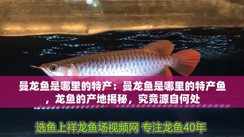 曼龍魚是哪里的特產：曼龍魚是哪里的特產魚，龍魚的產地揭秘，究竟源自何處