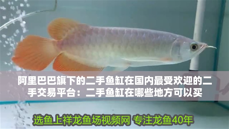 <strong><mark>阿里</mark></strong>巴巴旗下的二手魚缸在國內最受歡迎的二手交易平臺：二手魚缸在哪些地方可以買