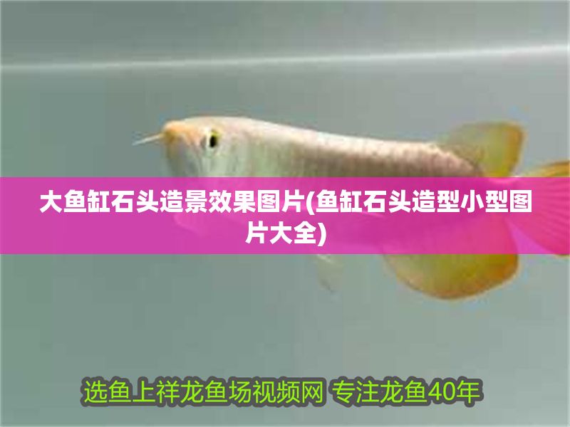 大魚缸石頭造景效果圖片(魚缸石頭造型小型圖片大全)