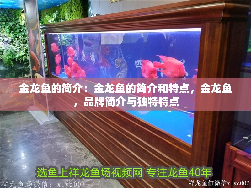 金龍魚的簡介：金龍魚的簡介和特點，金龍魚，品牌簡介與獨特特點 金龍魚的簡介：金龍魚的簡介和特點，金龍魚，品牌簡介與獨特特點 水族問答