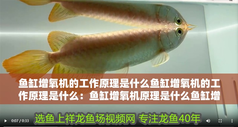 魚缸增氧機的工作原理是什么魚缸增氧機的工作原理是什么：魚缸增氧機原理是什么魚缸增氧機的工作原理是什么