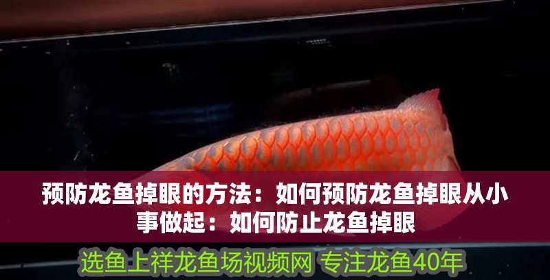 預(yù)防龍魚掉眼的方法：如何預(yù)防龍魚掉眼從小事做起：如何防止龍魚掉眼