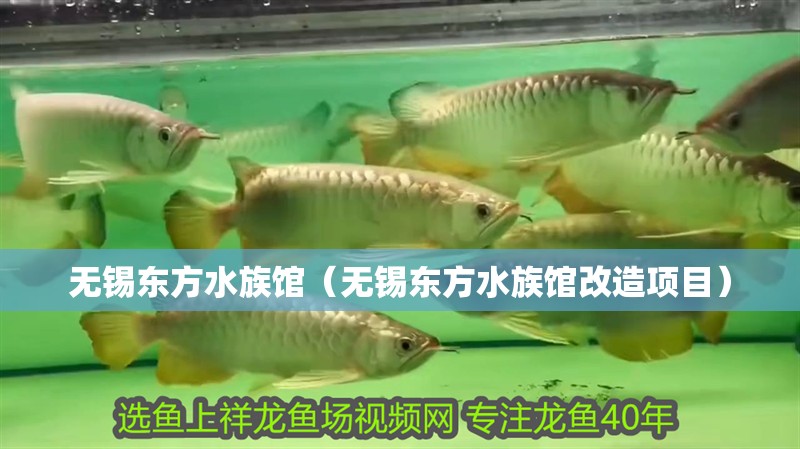 無(wú)錫東方水族館（無(wú)錫東方水族館改造項(xiàng)目）