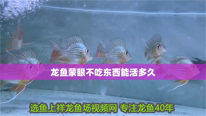 龍魚(yú)蒙眼不吃東西能活多久 龍魚(yú)百科 龍魚(yú)蒙眼不吃東西能活多久 龍魚(yú)蒙眼不吃東西能活多久 龍魚(yú)百科