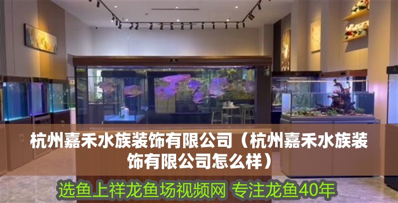 杭州嘉禾水族裝飾有限公司（杭州嘉禾水族裝飾有限公司怎么樣） 杭州嘉禾水族裝飾有限公司（杭州嘉禾水族裝飾有限公司怎么樣） 全國水族館企業名錄 第2張