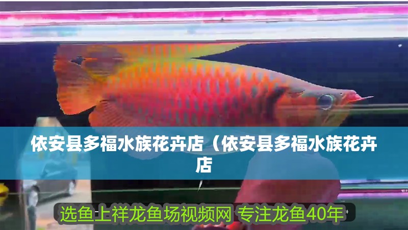 依安縣多福水族花卉店（依安縣多福水族花卉店