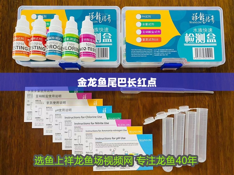 金龍魚尾巴長紅點