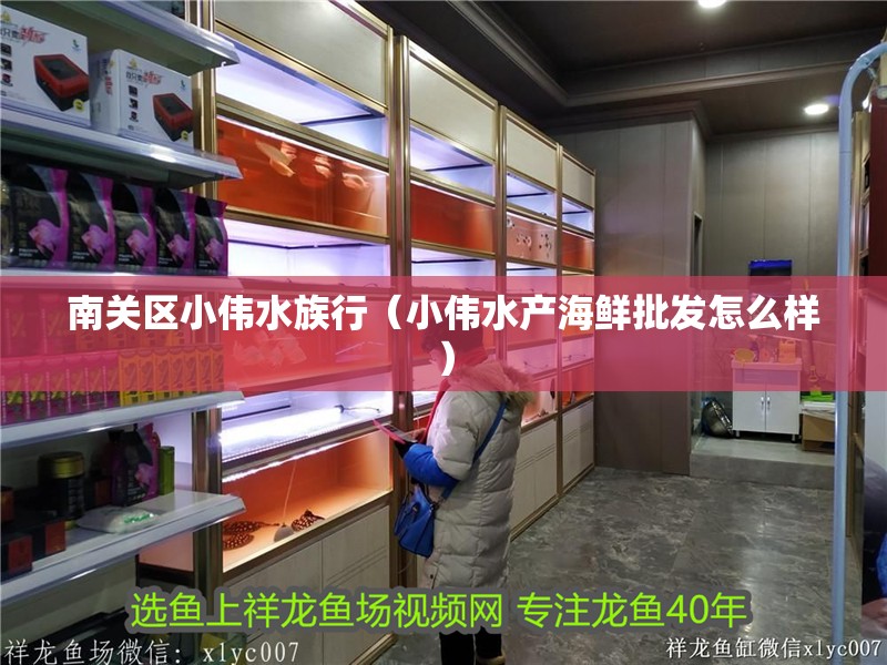 南關區小偉水族行(小偉水產海鮮批發怎么樣) 全國水族館企業名錄 第2張 南關區小偉水族行(小偉水產海鮮批發怎么樣) 南關區小偉水族行(小偉水產海鮮批發怎么樣) 全國水族館企業名錄 第2張