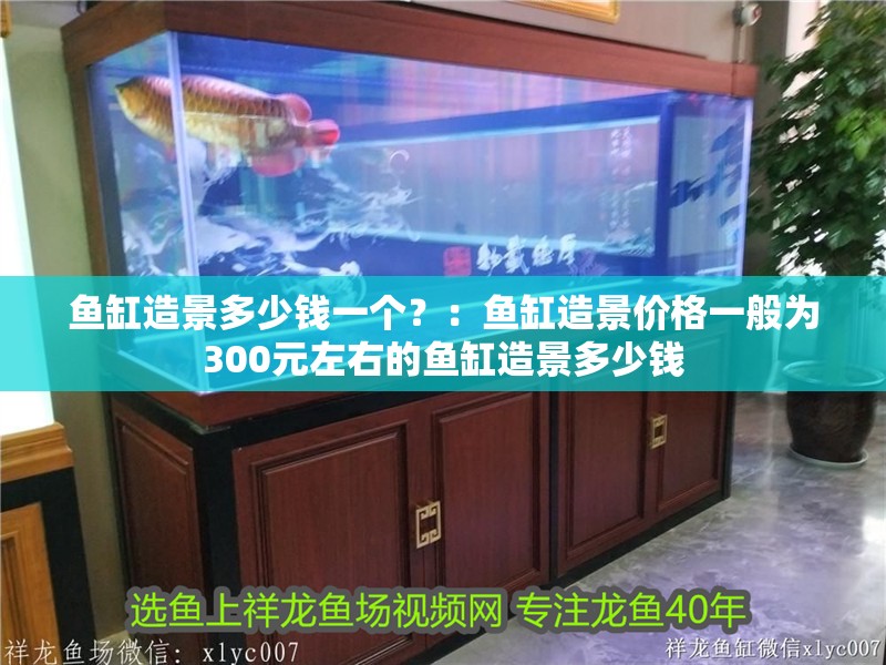 魚缸造景多少錢一個？：魚缸造景價格一般為300元左右的魚缸造景多少錢