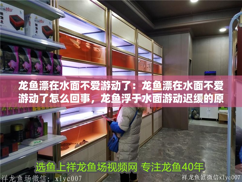 龍魚漂在水面不愛游動了:龍魚漂在水面不愛游動了怎么回事,龍魚浮于水面游動遲緩的原因 水族問答 龍魚漂在水面不愛游動了:龍魚漂在水面不愛游動了怎么回事,龍魚浮于水面游動遲緩的原因 龍魚漂在水面不愛游動了:龍魚漂在水面不愛游動了怎么回事,龍魚浮于水面游動遲緩的原因 水族問答