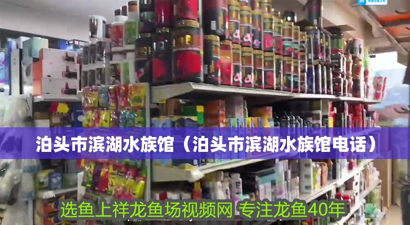 泊頭市濱湖水族館（泊頭市濱湖水族館電話） 泊頭市濱湖水族館（泊頭市濱湖水族館電話） 全國水族館企業(yè)名錄 第2張