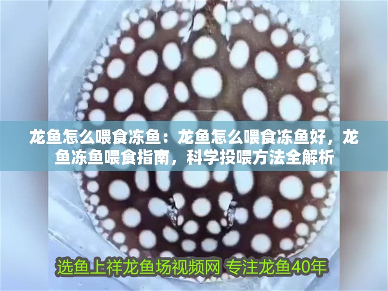 龍魚(yú)怎么喂食凍魚(yú)：龍魚(yú)怎么喂食凍魚(yú)好，龍魚(yú)凍魚(yú)喂食指南，科學(xué)投喂方法全解析