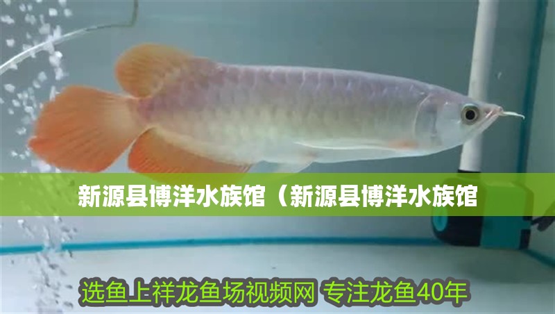 新源縣博洋水族館（新源縣博洋水族館
