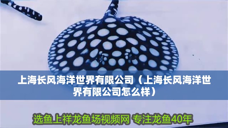 上海長(zhǎng)風(fēng)海洋世界有限公司（上海長(zhǎng)風(fēng)海洋世界有限公司怎么樣）