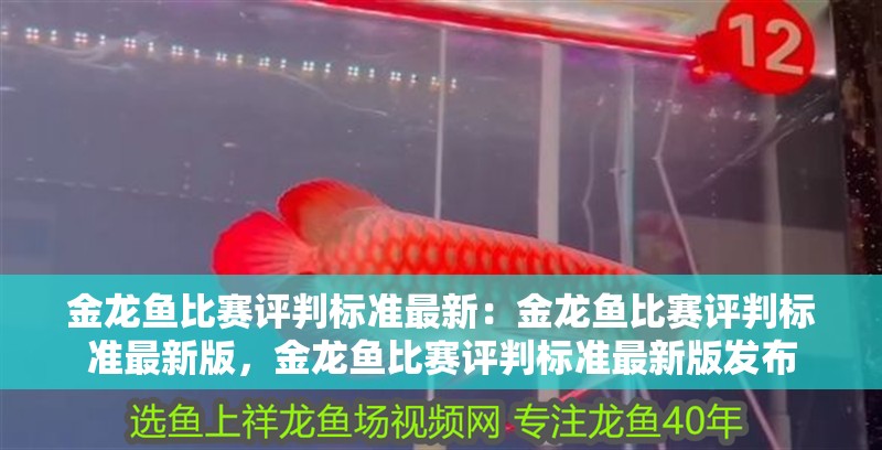 金龍魚比賽評(píng)判標(biāo)準(zhǔn)最新：金龍魚比賽評(píng)判標(biāo)準(zhǔn)最新版，金龍魚比賽評(píng)判標(biāo)準(zhǔn)最新版發(fā)布