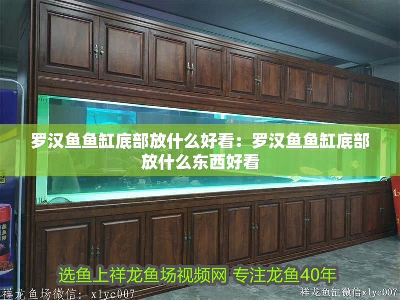 羅漢魚魚缸底部放什么好看：羅漢魚魚缸底部放什么東西好看