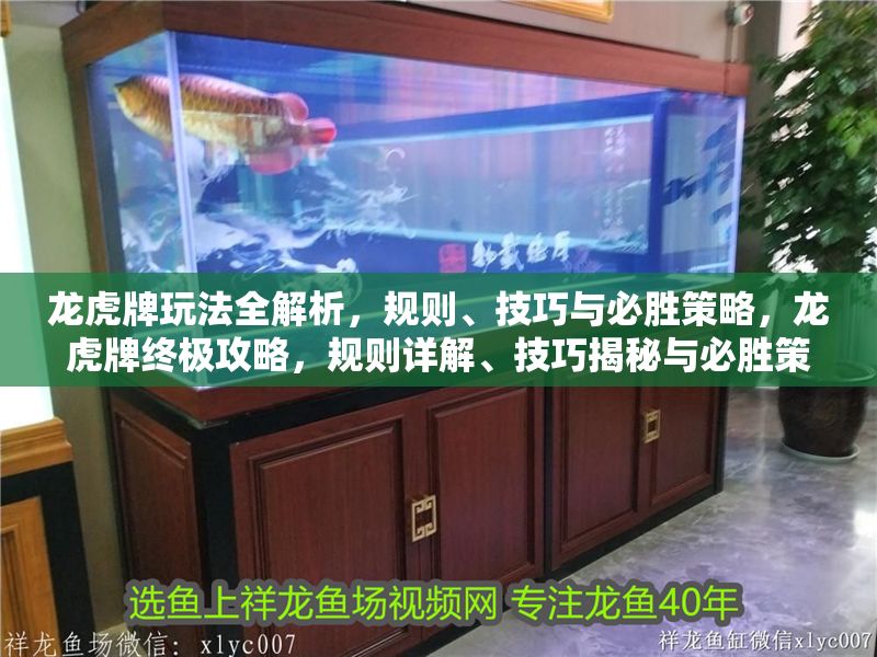 龍虎牌玩法全解析，規(guī)則、技巧與必勝策略，龍虎牌終極攻略，規(guī)則詳解、技巧揭秘與必勝策略
