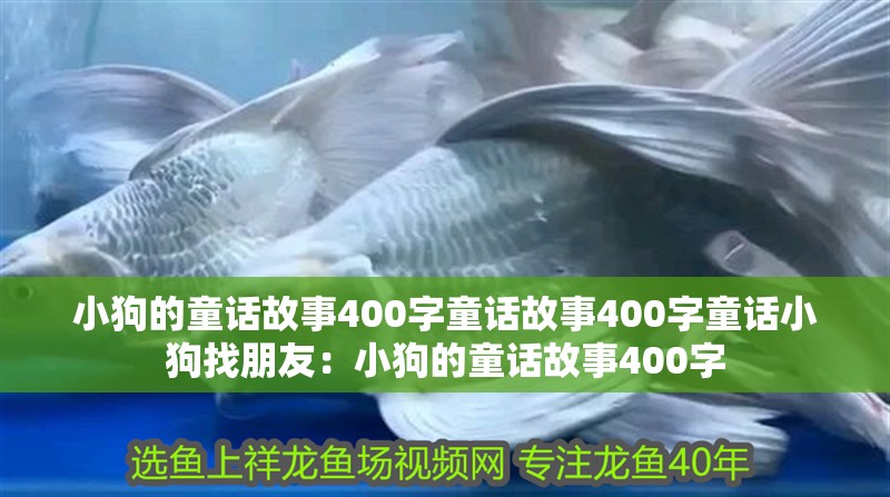 小狗的童話故事400字童話故事400字童話小狗找朋友：小狗的童話故事400字