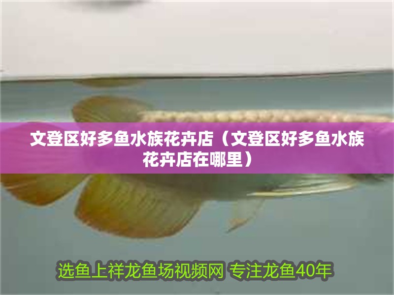 文登區好多魚水族花卉店（文登區好多魚水族花卉店在哪里）