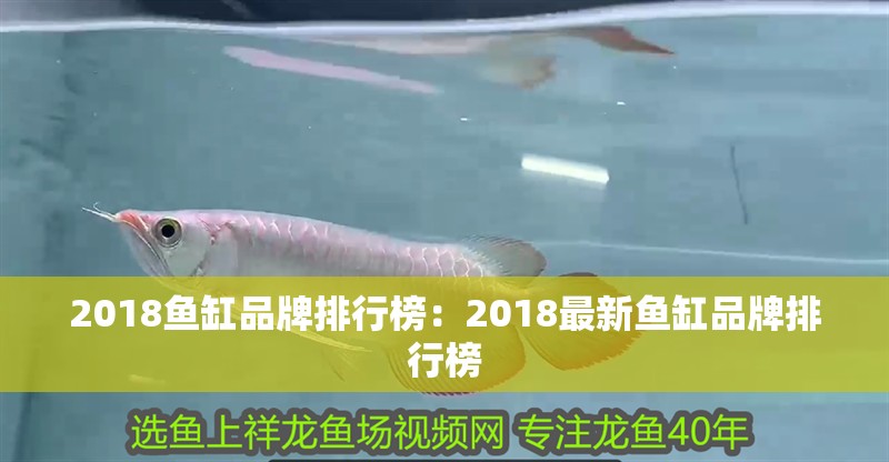 2018魚缸品牌排行榜：2018最新魚缸品牌排行榜