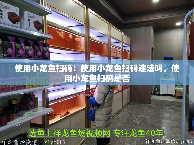 使用小龍魚掃碼：使用小龍魚掃碼違法嗎，使用小龍魚掃碼是否