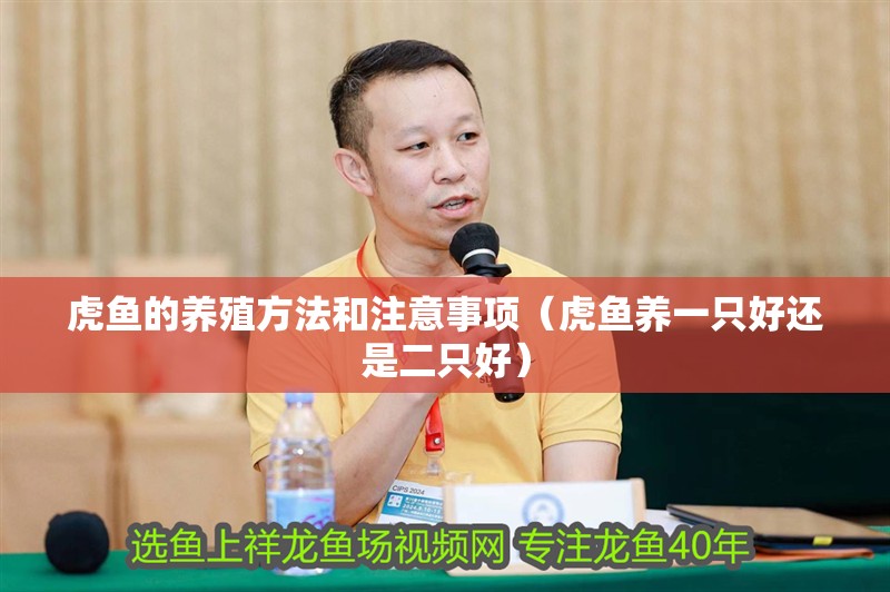 虎魚(yú)的養(yǎng)殖方法和注意事項(xiàng)（虎魚(yú)養(yǎng)一只好還是二只好）