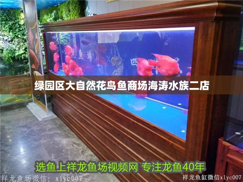 綠園區(qū)大自然花鳥魚商場海濤水族二店