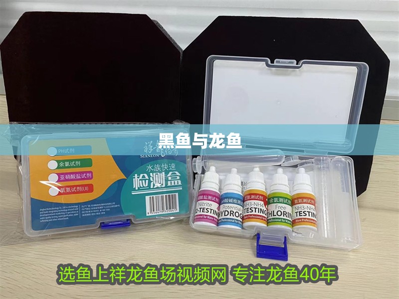 黑魚與龍魚