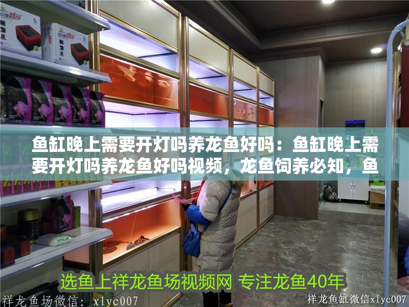 魚缸晚上需要開燈嗎養(yǎng)龍魚好嗎:魚缸晚上需要開燈嗎養(yǎng)龍魚好嗎視頻,龍魚飼養(yǎng)必知,魚缸夜間是否該開燈? 水族問答 魚缸晚上需要開燈嗎養(yǎng)龍魚好嗎:魚缸晚上需要開燈嗎養(yǎng)龍魚好嗎視頻,龍魚飼養(yǎng)必知,魚缸夜間是否該開燈? 魚缸晚上需要開燈嗎養(yǎng)龍魚好嗎:魚缸晚上需要開燈嗎養(yǎng)龍魚好嗎視頻,龍魚飼養(yǎng)必知,魚缸夜間是否該開燈? 水族問答