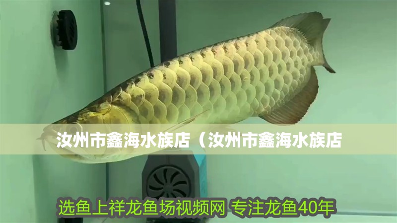 汝州市鑫海水族店（汝州市鑫海水族店