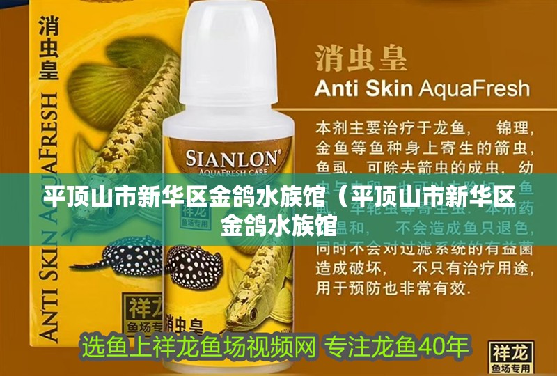 平頂山市新華區金鴿水族館（平頂山市新華區金鴿水族館