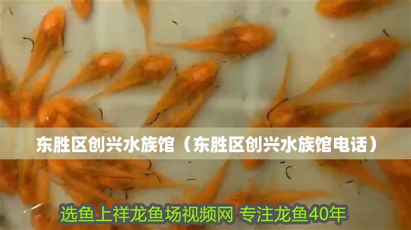 東勝區(qū)創(chuàng)興水族館(東勝區(qū)創(chuàng)興水族館電話) 全國水族館企業(yè)名錄 第2張 東勝區(qū)創(chuàng)興水族館(東勝區(qū)創(chuàng)興水族館電話) 東勝區(qū)創(chuàng)興水族館(東勝區(qū)創(chuàng)興水族館電話) 全國水族館企業(yè)名錄 第2張