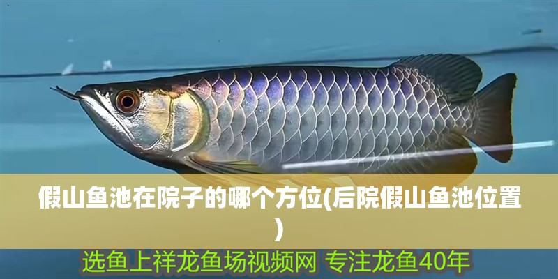 假山魚(yú)池在院子的哪個(gè)方位(后院假山魚(yú)池位置)
