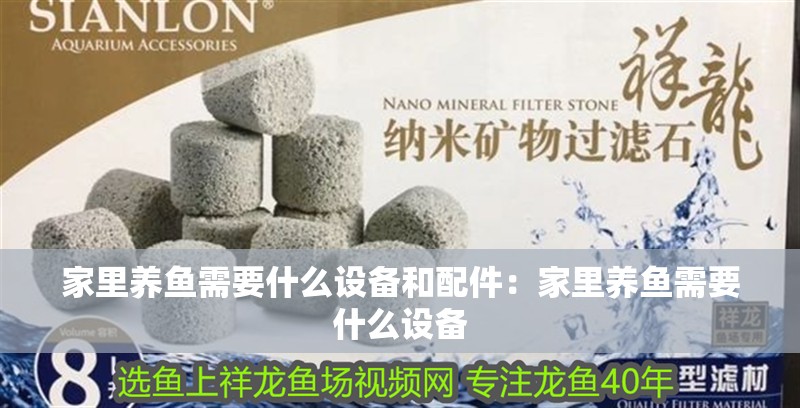 家里養魚需要什么設備和配件：家里養魚需要什么設備