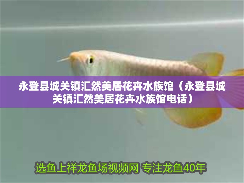 永登縣城關鎮匯然美居花卉水族館（永登縣城關鎮匯然美居花卉水族館電話）
