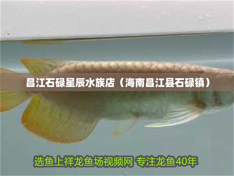 昌江石碌星辰水族店（海南昌江縣石碌鎮） 昌江石碌星辰水族店（海南昌江縣石碌鎮） 全國水族館企業名錄 第2張