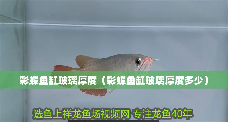 彩蝶魚缸玻璃厚度（彩蝶魚缸玻璃厚度多少） 彩蝶魚缸玻璃厚度（彩蝶魚缸玻璃厚度多少） 魚缸百科 第1張