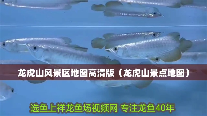 龍虎山風景區地圖高清版（龍虎山景點地圖）