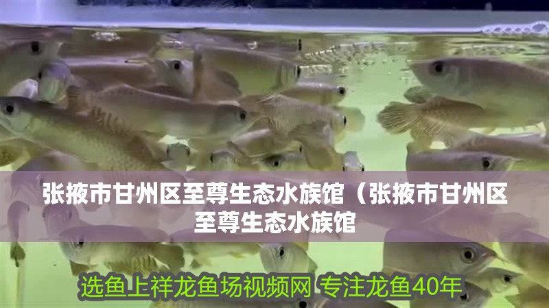 張掖市甘州區至尊生態水族館（張掖市甘州區至尊生態水族館