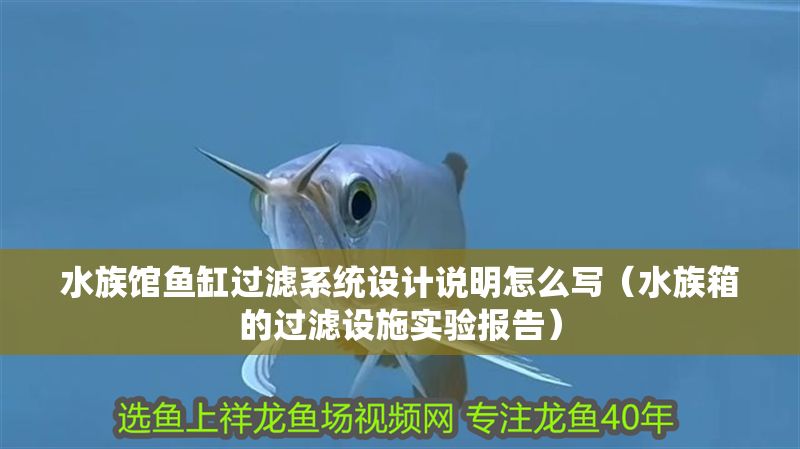 水族館魚缸過濾系統(tǒng)設(shè)計說明怎么寫（水族箱的過濾設(shè)施實驗報告）