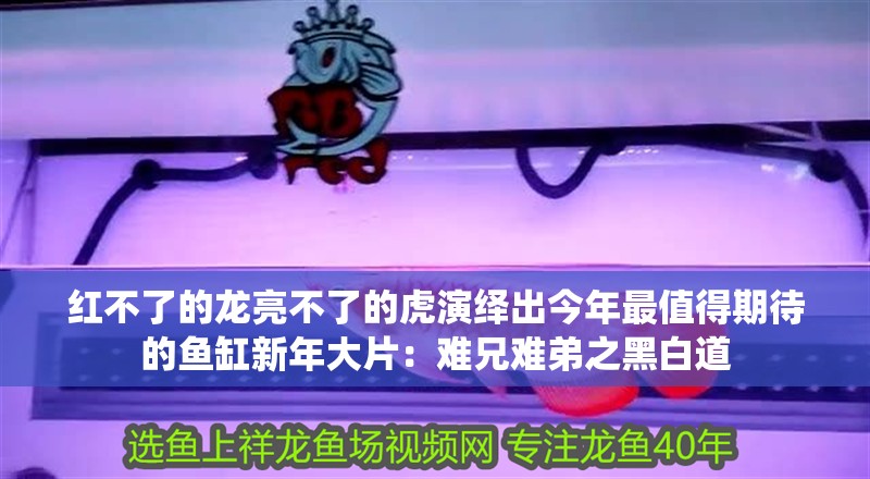 魚缸過濾器選購(gòu)指南:自制魚缸過濾器魚缸上置過濾器對(duì)于養(yǎng)魚愛好者的必備知識(shí) 紅不了的龍亮不了的虎演繹出今年最值得期待的魚缸新年大片:難兄難弟之黑白道 虎魚百科 紅不了的龍亮不了的虎演繹出今年最值得期待的魚缸新年大片:難兄難弟之黑白道 紅不了的龍亮不了的虎演繹出今年最值得期待的魚缸新年大片:難兄難弟之黑白道 虎魚百科