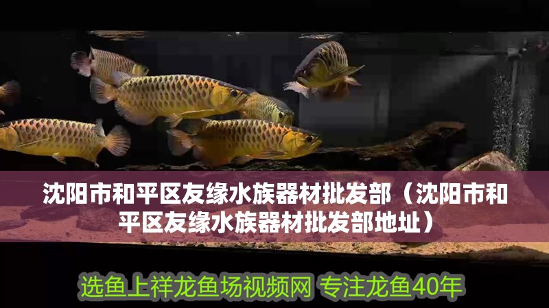 沈陽市和平區友緣水族器材批發部（沈陽市和平區友緣水族器材批發部地址）