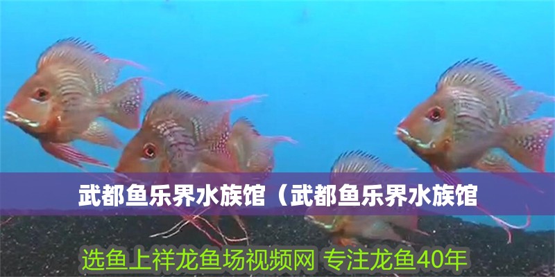 武都魚樂界水族館（武都魚樂界水族館