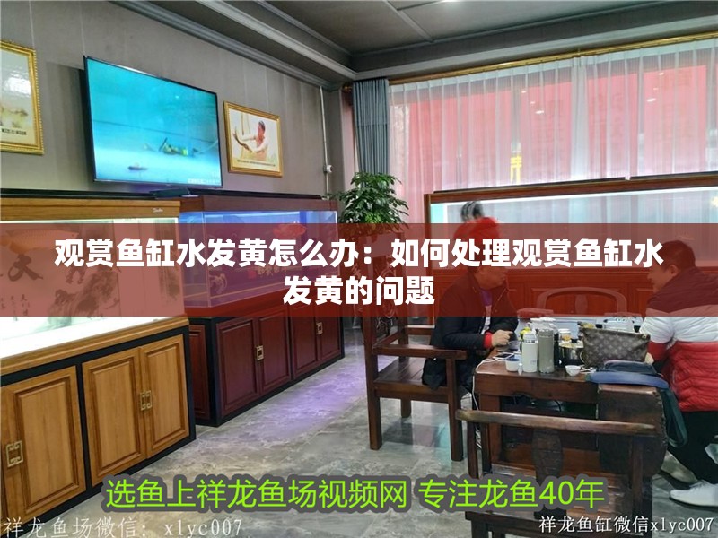 觀賞魚缸水發黃怎么辦：如何處理觀賞魚缸水發黃的問題