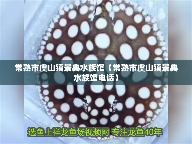 常熟市虞山鎮景典水族館（常熟市虞山鎮景典水族館電話） 常熟市虞山鎮景典水族館（常熟市虞山鎮景典水族館電話） 全國水族館企業名錄 第2張