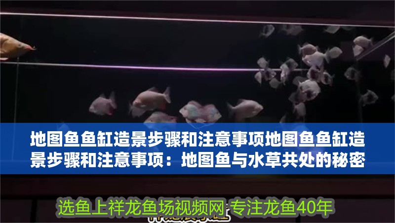 地圖魚魚缸造景步驟和注意事項地圖魚魚缸造景步驟和注意事項：地圖魚與水草共處的秘密 地圖魚魚缸造景步驟和注意事項地圖魚魚缸造景步驟和注意事項：地圖魚與水草共處的秘密 魚缸百科