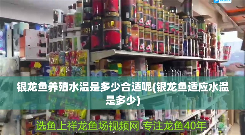 銀龍魚養(yǎng)殖水溫是多少合適呢(銀龍魚適應(yīng)水溫是多少)